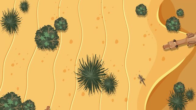 Top Down View Animation of Desert Scene with Two Camels Cacti Snake and Lizard, Stylized Motion Graphic Loop Concept for Wildlife Nature Background, Educational Display, or Game Map Visual.