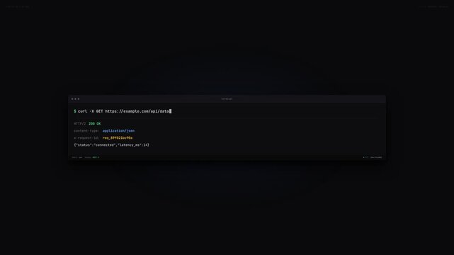 Terminal Command Line Typing Animation Curl Request Log 4K