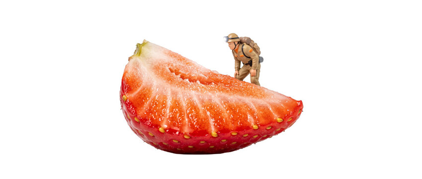 Miniature explorer hiking strawberry slice on black background, creative food macro concept featuring tiny figure exploring fresh red fruit, adventure, discovery, and surreal scale idea.