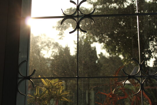 sunlight streaming through the gaps between tree branches