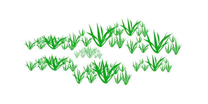 Vibrant green leaf illustration showing repetitive grass blade patterns suitable for eco friendly packaging and natural product background designs here.