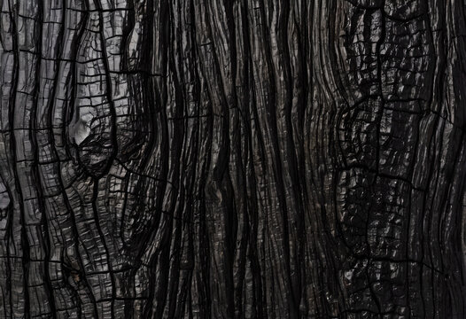 Charred black wood shou sugi ban crackle texture transparent overlay effect