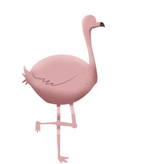 Naklejka premium pink flamingo bird