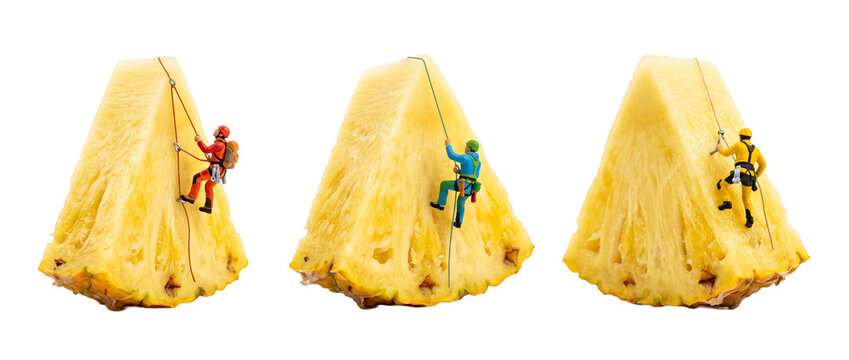 Miniature climbers scale pineapple slice mountain in creative conceptual food photography displaying teamwork adventure and surreal extreme sports on isolated black background.