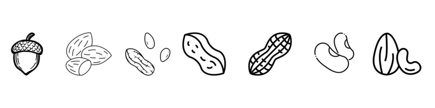 Set of nuts and seeds line icons including acorn, almond, peanut, cashew, and beans.