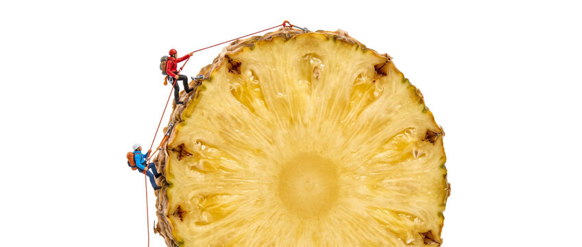 Miniature climbers climbing pineapple slice with ropes on black background, creative food adventure surreal concept, tiny mountaineers rappelling tropical fruit slice, conceptual scale photography.