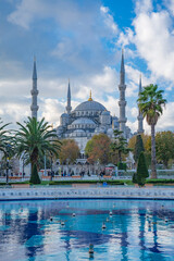 Naklejka premium Blue Mosque behind water fountain in Sultanahmet park Istanbul Turkey with copy space