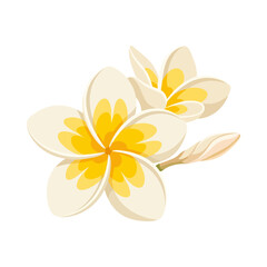 Fototapeta premium Set of white and yellow plumeria flowers