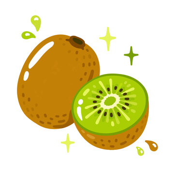 Hand drawn refreshing kiwi illustration on white background for summer and vacation themes