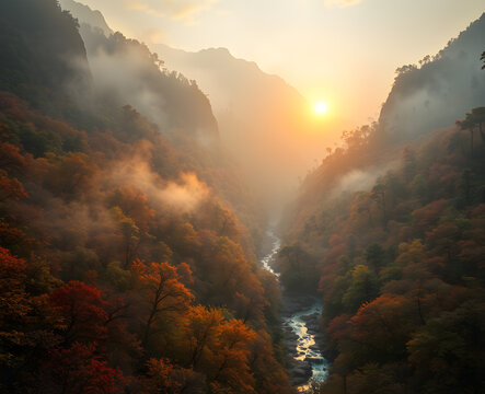 Vall&eacute;e brumeuse baign&eacute;e par la lumi&egrave;re dor&eacute;e du lever de soleil r&eacute;v&eacute;lant des collines ondulantes voil&eacute;es de brume matinale, cr&eacute;ant une atmosph&egrave;re sereine et myst&eacute;rieuse typique des paysages asiatiques