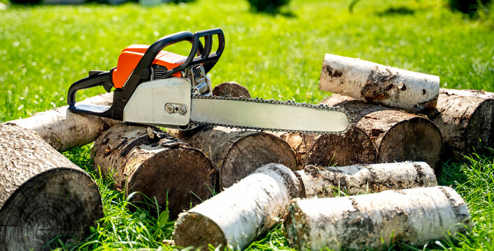 Bright green grass surrounds stacked logs