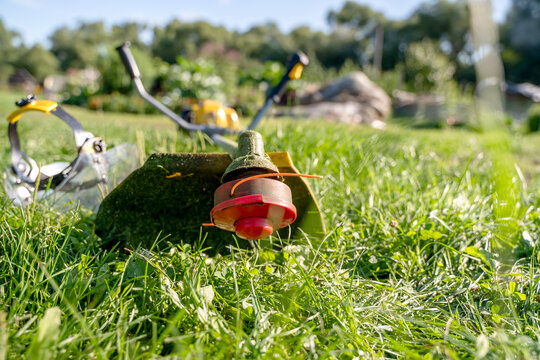 Sunlit grass surrounds a stopped trimmer