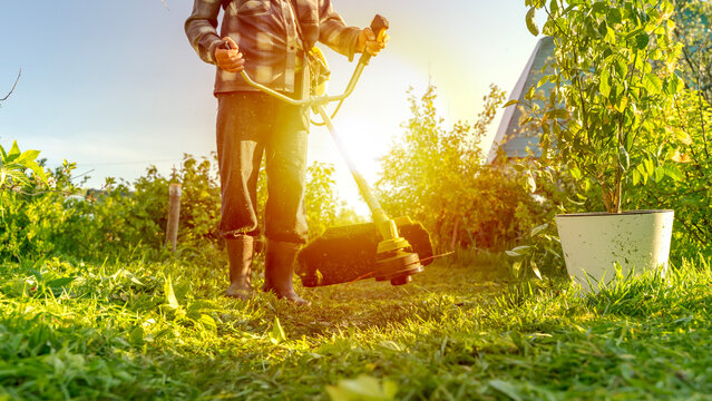 Sunlight glints through green grass as a person mows