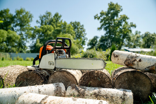 Chain saw rests among cut logs in sunlit field