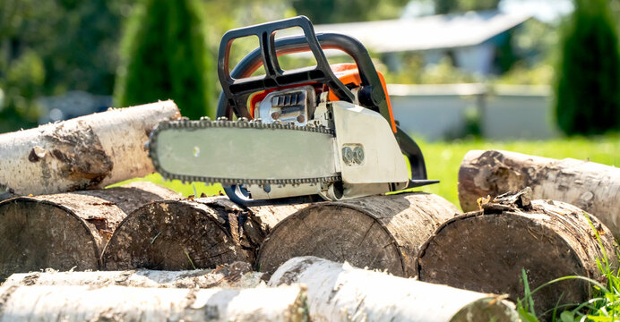 Chain saw rests atop stacked logs