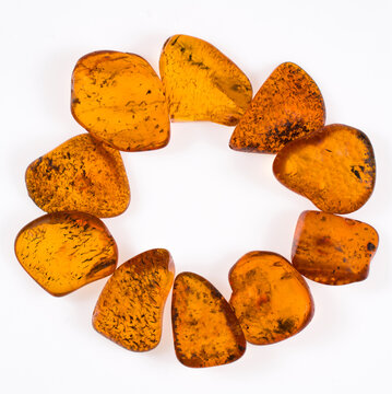 natural baltic amber