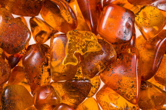 natural baltic amber