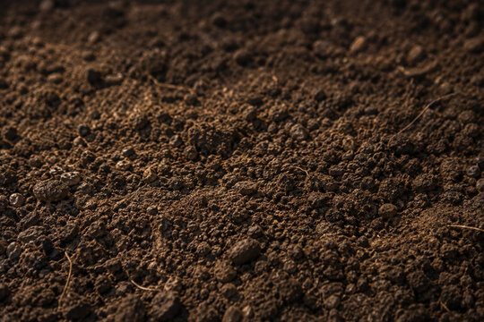 Rich dark soil texture for gardening, fertile brown earth background, organic potting compost for agriculture and planting