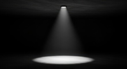 Obraz premium A spotlight shines brightly in a dark room