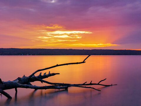 Abgestorbener Baumstamm lieg im Wasser, Sonnenuntergang am Ammersee, Oberbayern, Bayern, Deutschland