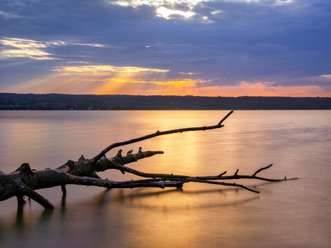 Abgestorbener Baumstamm lieg im Wasser, Sonnenuntergang am Ammersee, Oberbayern, Bayern, Deutschland