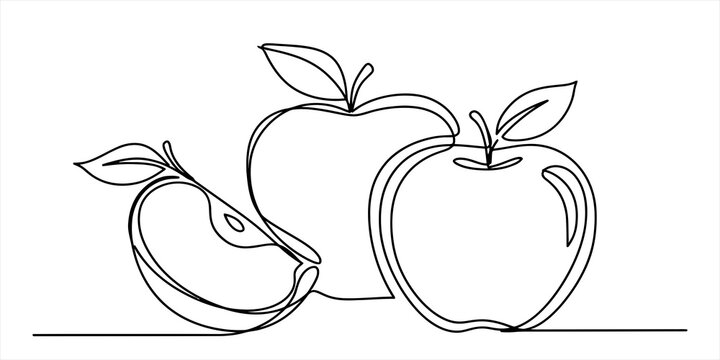 Continuous one line drawing of two whole apples and a slice with leaves Vector, illustration