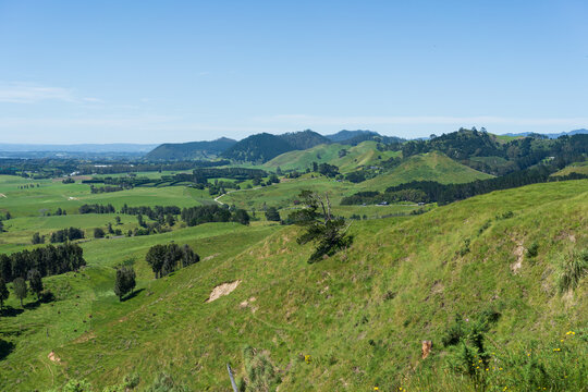 Rolling Green Hills Near Waihī Beach