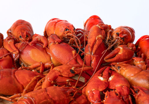 Boiled or steamed crawfish