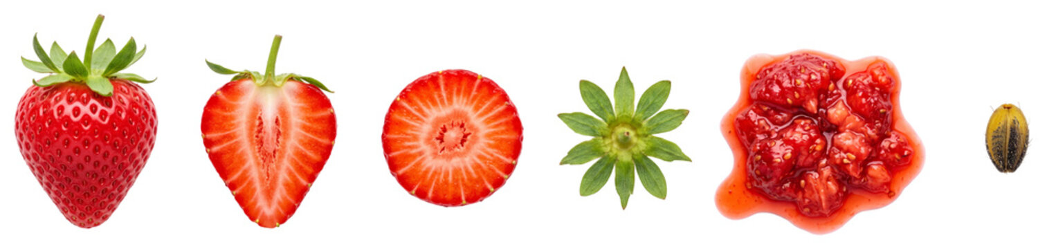Strawberry parts showing whole berry, half, slice, leaf calyx, jam and seed