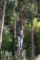 Fototapeta premium Downhill cuenca