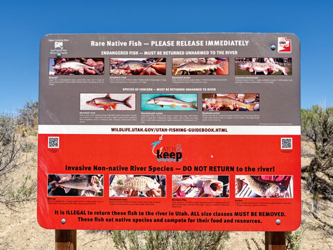 Dinosaur National Monument, Utah - June 26, 2026: A sign by the Green River shows fishing restrictions for various species