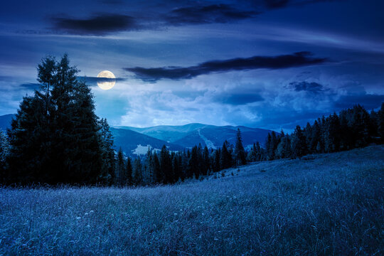 countryside mountain landscape in summer at night. full moon over lush grassy pasture on a hill near forest. rural outdoor adventure background. mysterious highland of ukraine