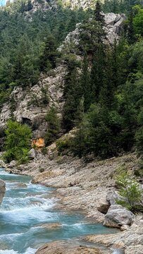 A scenic view of a clear river flowing over smooth light colored rocks surrounded by lush green forest foliage, natural beauty for outdoor adventure scenes