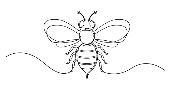 Continuous single line drawing of a honey bee Vector, illustration