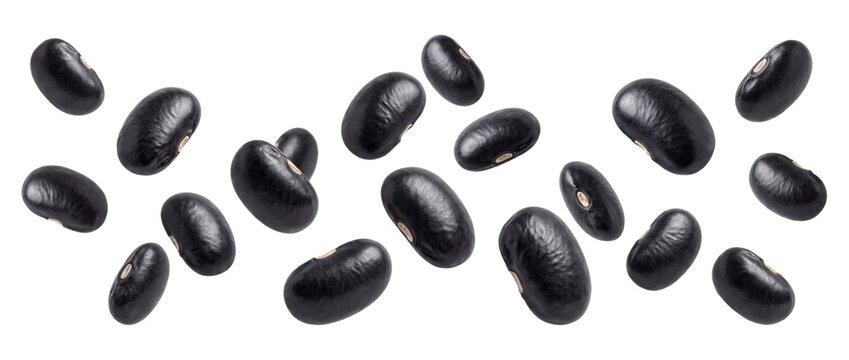 Black beans scattered in air isolated on transparent background