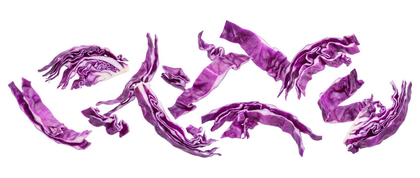 Red cabbage leaves arranged isolated on transparent background