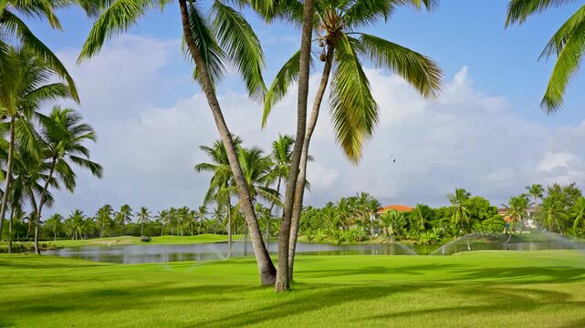 An empty green grassy area for a picnic, golf, or entertainment on a sunny summer day. American green field landscape. Beautiful golf course with grass and various tree species.