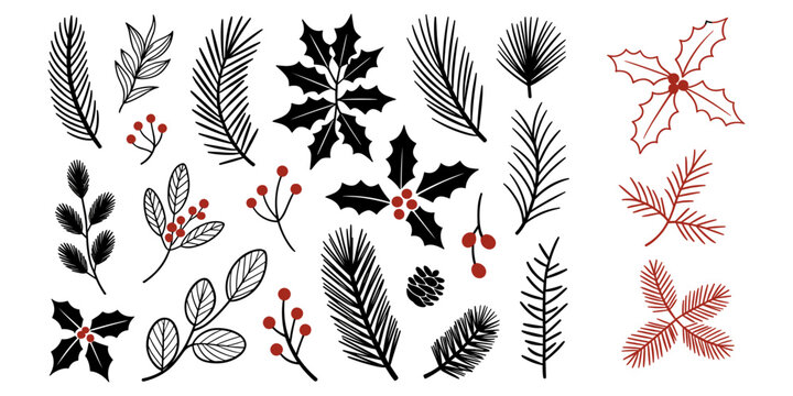 Christmas botanical element collection set with black pine branches red holly berries mistletoe and conifer leaf silhouettes vector illustration