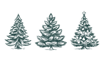 Obraz premium Christmas tree set. Hand drawn illustration.