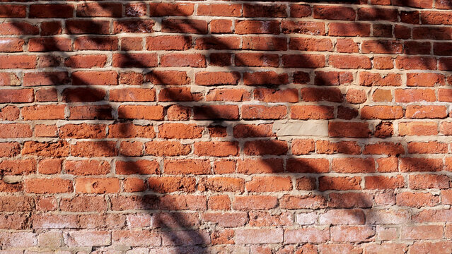 Red brick wall texture, tree shadow overlay background, old terracotta brickwork surface, vintage rustic stone masonry architecture element