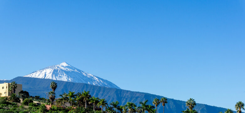 Snow-capped Mount Teide towering above green palm trees and buildings in Tenerife, Canary Islands