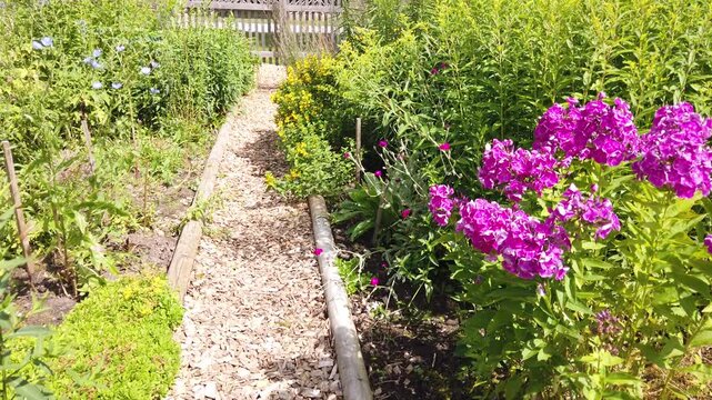 Walking along a path between flowerbeds through the garden