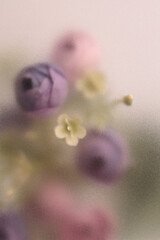 Fototapeta premium Smoke selected soft focus cream beige pink Rose Flower bouquet through translucent matte frosted glass. Abstract natural blurred grain light fog background.
