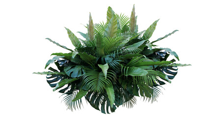 Plant leaves Green nature Tropical forest isolated on transparent background - png © Design Zone
