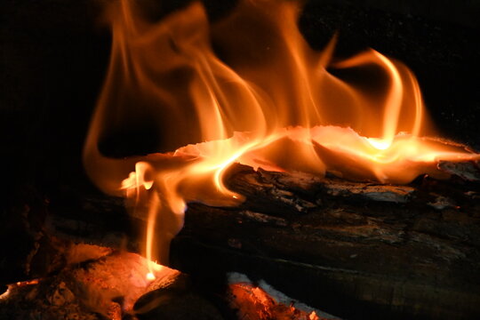 El fuego y su lenguaje