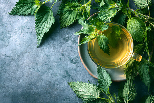 Nettle tea, a medicinal herbal drink made from Urtica leaves. Wild-gathered herbs, laid horizontally with room for text