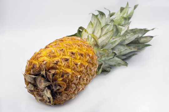 Pineapple fruit fresh tropical closeup on white.