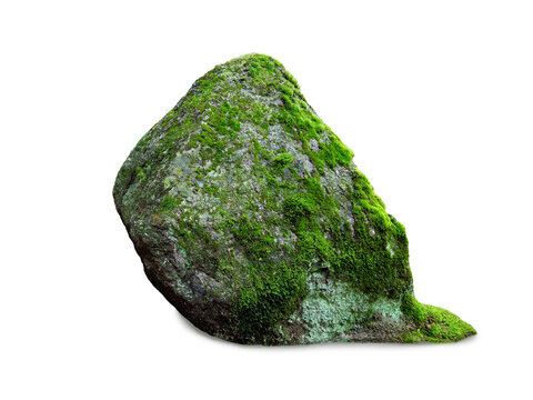 Large mossy boulder with green lichen isolated on white background.