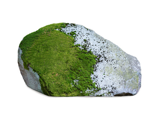 Large stone covered with green moss isolated on white background.