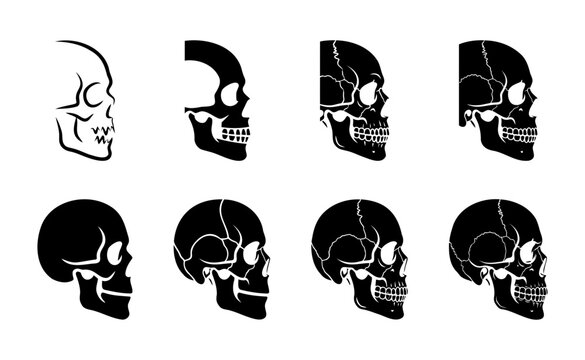 Black and white human skull profile illustrations in different angles